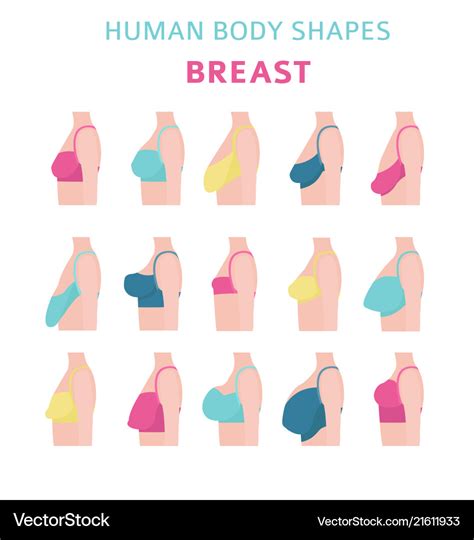 brown boobs|The 12 Different Breast Shapes and Types .